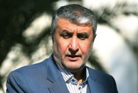 اسلامی: غنی‌سازی با خلوص بالا برای رفع تحریم است