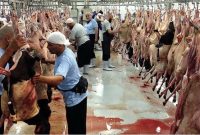سازمان حج و زیارت: خبر ارسال گوشت قربانی حجاج به ایران، کذب است