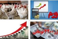 مقصر مرغ ۱۰۰ هزار تومانی کیست؟