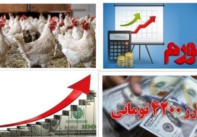 مقصر مرغ ۱۰۰ هزار تومانی کیست؟ مقصر مرغ ۱۰۰ هزار تومانی کیست؟