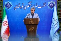 سخنگوی قوه قضاییه: نیلوفر حامدی و الهه محمدی با آمریکا همکاری داشته‌اند