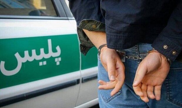 مقابله با سرقت در کشور ۳۸ درصد رشد داشته است مقابله با سرقت در کشور ۳۸ درصد رشد داشته است