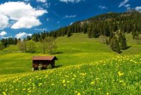 بر فراز تنگ هایقر/ فیروزآباد/ فارس