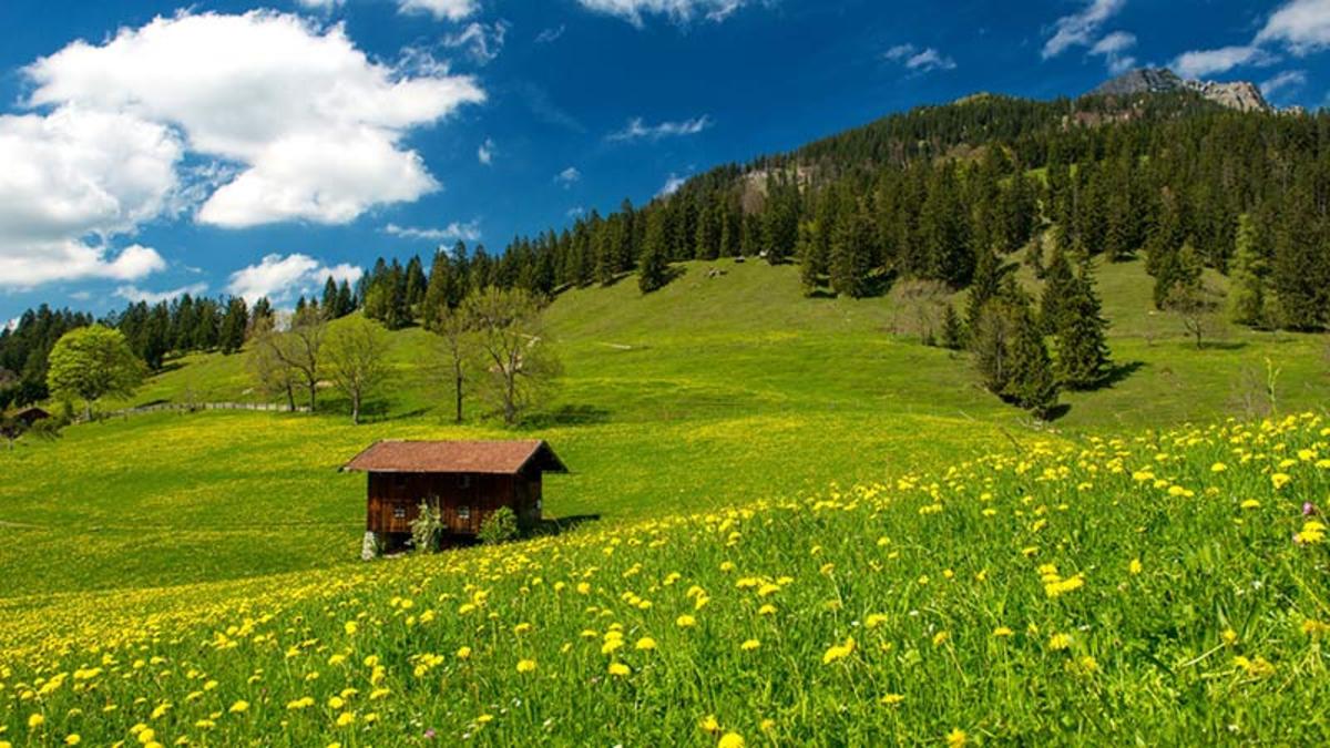 بر فراز تنگ هایقر/ فیروزآباد/ فارس