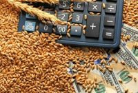 کاهش قیمت جهانی مواد غذایی/ انفجار قیمت برنج