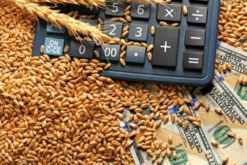 کاهش قیمت جهانی مواد غذایی/ انفجار قیمت برنج کاهش قیمت جهانی مواد غذایی/ انفجار قیمت برنج