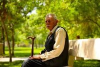 توافق دولت و مجلس درباره حقوق بازنشستگان / شرط افزایش ۹۰ درصدی حقوق اعلام شد