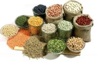 ممنوعیت صادرات کره و حبوبات ابطال شد