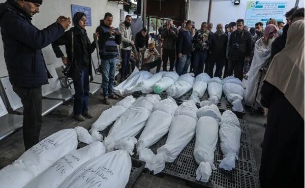 عبور آمار شهدا و مجروحان نوار غزه از مرز ۹۹ هزار و ۵۰۰ نفر عبور آمار شهدا و مجروحان نوار غزه از مرز ۹۹ هزار و ۵۰۰ نفر