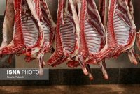جبران کسری بازار گوشت از محل واردات/ بازار گوشت به ثبات می‌رسد