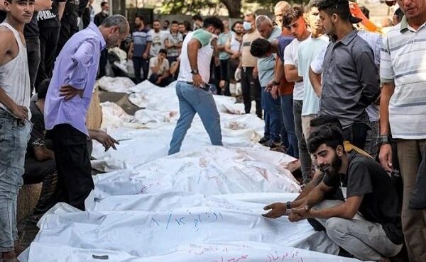 افزایش شمار شهدای نوار غزه به ۳۵ هزار و ۹۰۳ نفر افزایش شمار شهدای نوار غزه به ۳۵ هزار و ۹۰۳ نفر