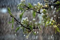 دریاچه ارومیه پرباران ترین حوضه کشور در هفته جاری