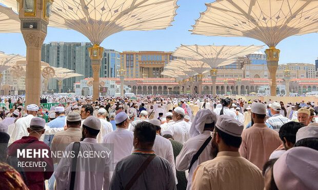 ۳ زائر بیمار در اولین پرواز حجاج به ایران بازگردانده شدند ۳ زائر بیمار در اولین پرواز حجاج به ایران بازگردانده شدند