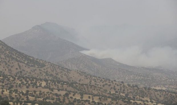 جدال با آتش در جنگلهای پلدختر با دستان خالی/ بالگرد نرسید جدال با آتش در جنگلهای پلدختر با دستان خالی/ بالگرد نرسید