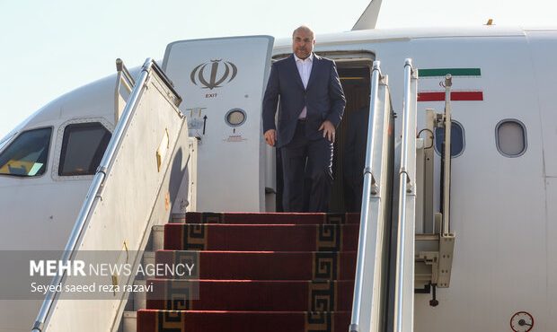 قالیباف وارد ژنو شد قالیباف وارد ژنو شد