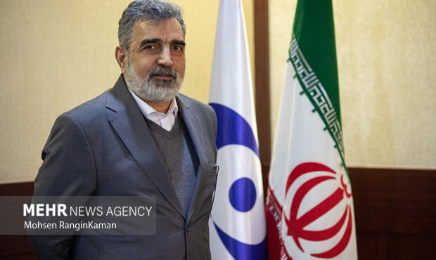 کمالوندی: ایران مجموعهای از سانتریفیوژهای پیشرفته را بکار میگیرد کمالوندی: ایران مجموعهای از سانتریفیوژهای پیشرفته را بکار میگیرد