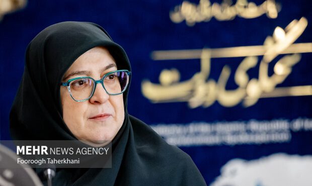 مهاجرانی: مذاکرات با کشورهای اروپایی ادامه خواهد داشت مهاجرانی: مذاکرات با کشورهای اروپایی ادامه خواهد داشت