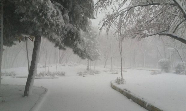 بارش مناسب برف نیز جبران کمبارشی نشد بارش مناسب برف نیز جبران کمبارشی نشد