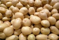 ابلاغ ممنوعیت صادرات سیبزمینی از سوی گمرک ابلاغ ممنوعیت صادرات سیبزمینی از سوی گمرک