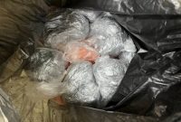 کشف ۸ کیلو گرم اکلیل سرنج در مترو کشف ۸ کیلو گرم اکلیل سرنج در مترو
