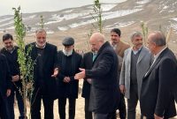 ۲۵۰۰ هکتار از کمربند سبز تهران به بهرهبرداری رسید ۲۵۰۰ هکتار از کمربند سبز تهران به بهرهبرداری رسید