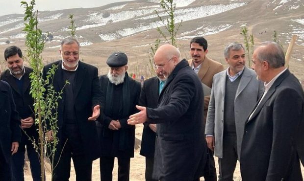 ۲۵۰۰ هکتار از کمربند سبز تهران به بهرهبرداری رسید ۲۵۰۰ هکتار از کمربند سبز تهران به بهرهبرداری رسید