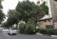 هشدار وزش باد شدید و رگبار در تهران؛ دما کاهش می‌یابد