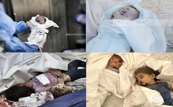 آمار جدید شهدای فلسطینی در غزه و سکوت مشکوک جامعه جهانی آمار جدید شهدای فلسطینی در غزه و سکوت مشکوک جامعه جهانی