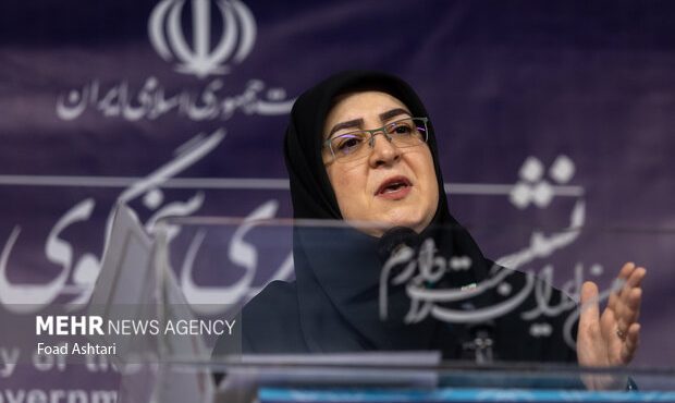 مهاجرانی: بسته بهبود امنیت اقتصادی و پیشگیری از خروج سرمایه تصویب شد مهاجرانی: بسته بهبود امنیت اقتصادی و پیشگیری از خروج سرمایه تصویب شد