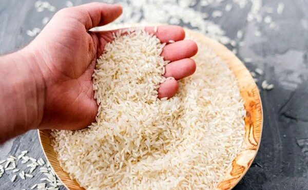 قیمت برنج در میادین و بازارهای میوه و تره بار اعلام شد قیمت برنج در میادین و بازارهای میوه و تره بار اعلام شد