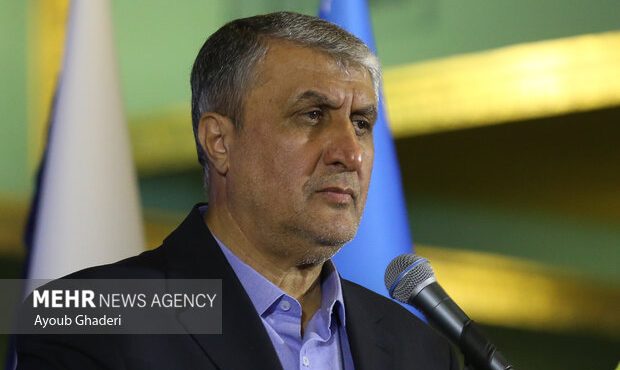 جزئیات حضور ایران در کنفرانس سالانه آژانس بین المللی انرژی اتمی جزئیات حضور ایران در کنفرانس سالانه آژانس بین المللی انرژی اتمی