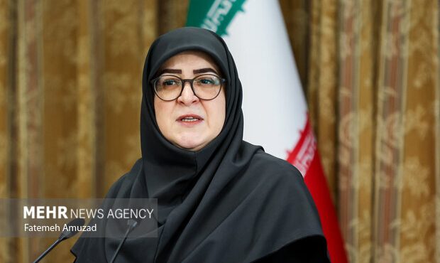 سخنگوی دولت: احیای زایندهرود در شورای عالی آب در حال بررسی است سخنگوی دولت: احیای زایندهرود در شورای عالی آب در حال بررسی است