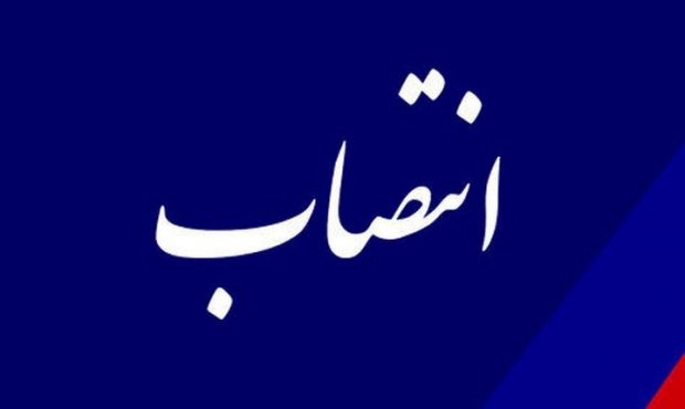 دستیار وزیر نفت منصوب شد دستیار وزیر نفت منصوب شد