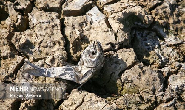 ششمین خشکسالی پیاپی در ایران؛ تا آذرماه خبری از بارشهای پاییزی نیست ششمین خشکسالی پیاپی در ایران؛ تا آذرماه خبری از بارشهای پاییزی نیست