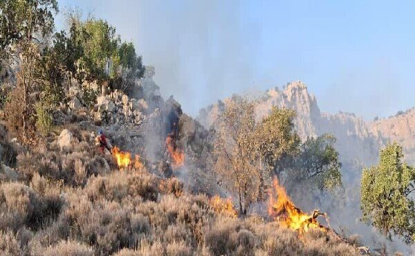 «الیت» در آتش؛ پرواز ایلوشین برای مهار حریق «الیت» در آتش؛ پرواز ایلوشین برای مهار حریق
