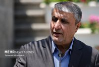 اسلامی: گروسی در زمین دشمن ایفای نقش می‌کند