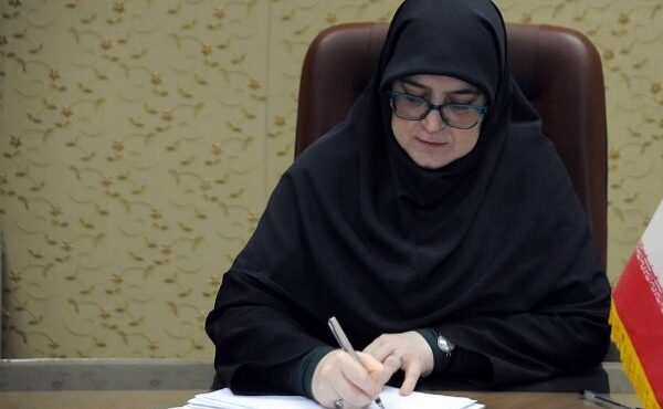 مهاجرانی: میدان و دیپلماسی در کنار هم از ایران دفاع می‌کنند